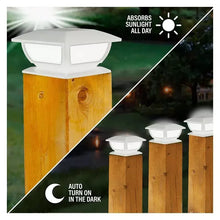 LAMP5 - Brands For Less USA