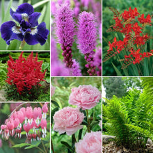 LongfieldGardenSolutionCollections - Brands For Less USA
