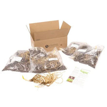 LongfieldGardensAstilbesandHostaShadeGardens6 - Brands For Less USA