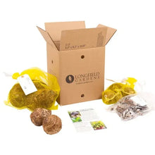 LongfieldGardensElephantEarCollections4 - Brands For Less USA
