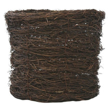Longfield Gardens Paperwhite ‘Ziva’, 5 Bulbs with Bird’s Nest