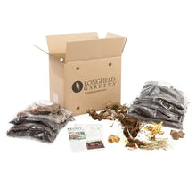 LongfieldGardensShadeLovingPerennialCollection6 - Brands For Less USA