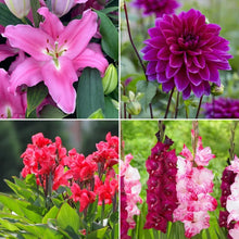 LongfieldGardensSunLovingCollections - Brands For Less USA