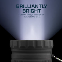 Lumen_Spotlight_6 - Brands For Less USA