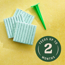 MG-INDOOR-SPIKES-ALL-PLANTS-48-S2_4fd0f062-6bce-4547-bf11-7f55a3b2c44a - Brands For Less USA