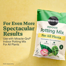 MG-INDOOR-SPIKES-ALL-PLANTS-48-S7_36af88bb-a2b1-4c5c-8301-04660fc3e9a7 - Brands For Less USA