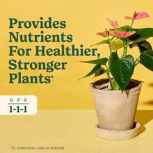 MIRACLE-GRO-8OZ-INDOOR-PLANT-FOO3 - Brands For Less USA