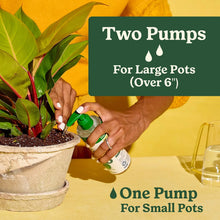 MIRACLE-GRO-8OZ-INDOOR-PLANT-FOO4 - Brands For Less USA