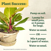 MIRACLE-GRO-8OZ-INDOOR-PLANT-FOO5 - Brands For Less USA