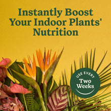 MIRACLE-GRO-8OZ-INDOOR-PLANT-FOO6 - Brands For Less USA