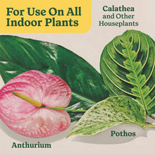 MIRACLE-GRO-8OZ-INDOOR-PLANT-FOO8 - Brands For Less USA