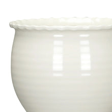 MS-6IN-BROOKE-PLA-VD_ea54d993-d26_6d8f68c9-0710-4c98-b1ca-2078b289ddca - Brands For Less USA