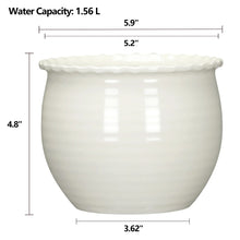 MS-6IN-BROOKE-PLA-VD_ea54d993-d27_cfcd00d0-3284-4190-a003-3c908f685f53 - Brands For Less USA
