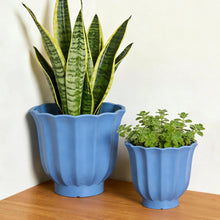 MS-8IN-LILLIAN-PLA-B_e0e72e6b-f13_6eb80ae3-292f-4536-81f2-42948ea7d8be - Brands For Less USA