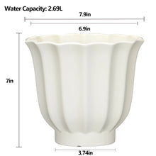 MS-8IN-LILLIAN-PLA-V_e158e3cf-8d7_b1cc22d9-b1fa-4fc2-9c1a-6a3696b89c74 - Brands For Less USA