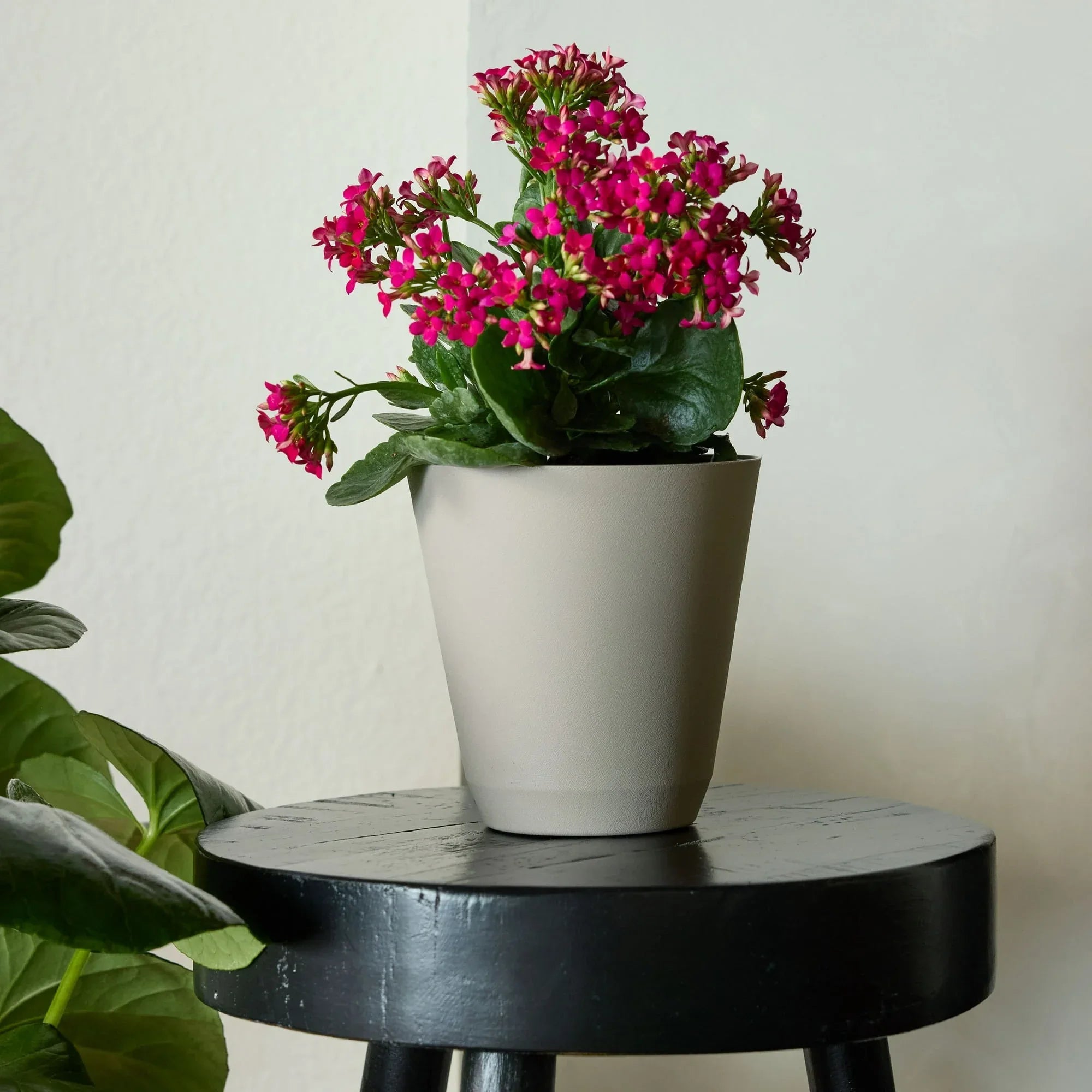 Mainstays Beige Resin Self-Watering Planter– Brands For Less USA