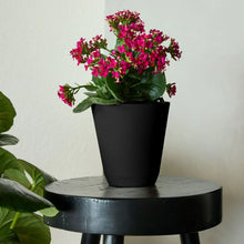 Mainstays-6-in-Black-Resin-Self1_42e2ef51-25c3-455d-88a3-b67f127b624a - Brands For Less USA