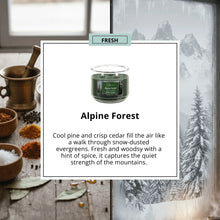 Mainstays-Alpine-Forest-3-Wick-3_1e0b812d-4ad6-4876-a622-9132ca7cb3db - Brands For Less USA