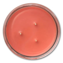 Mainstays-Cranberry-Mandarin-Sce3_279eead8-79d9-4970-b7d6-6f2ddca2c725 - Brands For Less USA