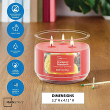 Mainstays-Cranberry-Mandarin-Sce7-dfc8f0d2-a0f8-4b7b-956f-aab3434ed65e-_7 - Brands For Less USA