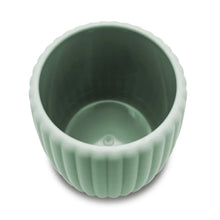 Mainstays Rubberized Plastic Ribbed Toothbrush Holder, Green - Brands For Less USA