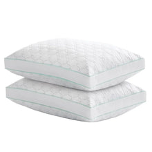 MarthaStewartGardenTrellisQuiltedPillow_2-pack - Brands For Less USA