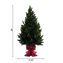 Member's Mark 48" Pre-Lit Topiary in Red Bow Container