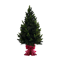 Member's Mark 48" Pre-Lit Topiary in Red Bow Container