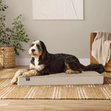 Member-s-Mark-Lounger-Pet-Bed-30x40-Choose-Color-1-_4 - Brands For Less USA