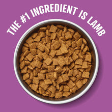 Member-s-Mark-Pasture-Raised-Lamb-and-Brown-Rice-Recipe-Dry-Dog-Food-35-lbs-2-_6 - Brands For Less USA