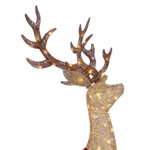 Member's Mark Pre-Lit Animated Deer Family, Set of 3