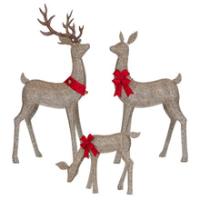Member's Mark Pre-Lit Animated Deer Family, Set of 3
