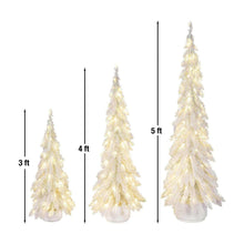 Member's Mark Pre-Lit Iridescent Topiaries, Set of 3