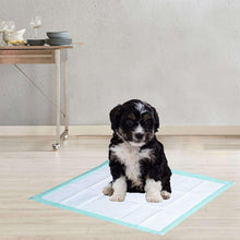 Member-sMarkMultipurposeAbsorbentPads-23x24-120ct-_12 - Brands For Less USA