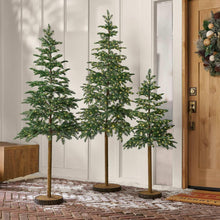 Member-sMarkPre-LitAlpineTreeDecor-Setof36-_1 - Brands For Less USA