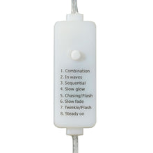 Member's Mark 120ct LED Frosted Berry Lights, 39.6' Lighted Length