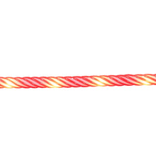 Member's Mark 18' Candy Cane LED Rope Light