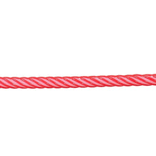 Member's Mark 18' Candy Cane LED Rope Light