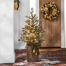 Member's Mark 48" Pre-Lit Flocked Topiary in Woven Basket