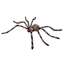 Member's Mark 6' Pre-Lit Oversized Spider