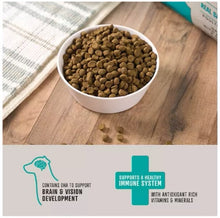 Member's Mark Grain Free Salmon and Sweet Potato Dry Dog Food, 30 lbs.