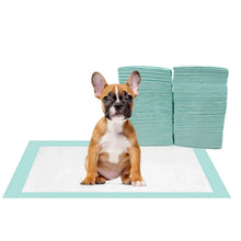 Member_sMarkMultipurposeAbsorbentPads_23x24_120ct.5_d66be1df-d8d5-4e84-a037-2fe32fa15343 - Brands For Less USA