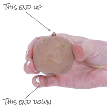 Member_sMarkOnions_Potatoes_72pk2 - Brands For Less USA