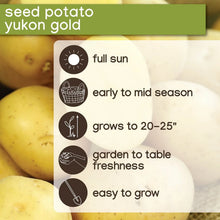 Member_sMarkOnions_Potatoes_72pk3 - Brands For Less USA