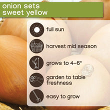 Member_sMarkOnions_Potatoes_72pk4 - Brands For Less USA