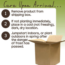 Member_sMarkOnions_Potatoes_72pk - Brands For Less USA