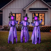 Member's Mark Pre-Lit Animated Witches, Set of 3