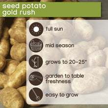 Member_sMarkSeedPotatoes_24pk4 - Brands For Less USA
