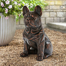 Member_sMarkSittingFrenchBullDogStatue - Brands For Less USA