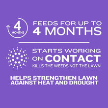 Member_sMarkSouthernWeed_Feed12M1 - Brands For Less USA